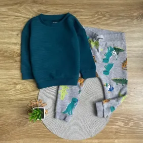 Комплект зі світшоту і штанів