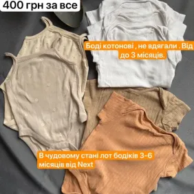 Бодіки