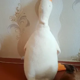 Гусь обіймусь